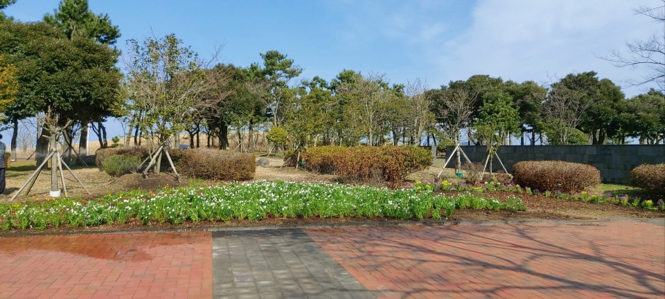 제주4.3평화공원 정원에 꽃심기 봉사
