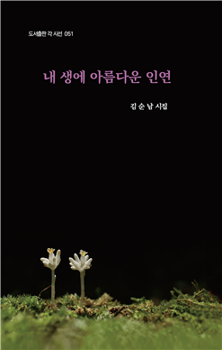 김순남 시인 시집 《내 생에 아름다운 인연》 표지